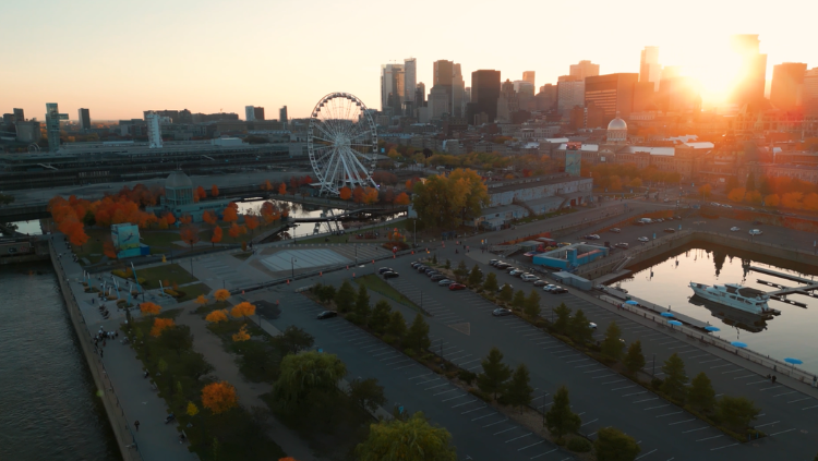 FMS website homepage image - 750 x 423px